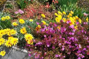 Raposeira de São João, the feeling of peace, space and quiet, Whole villa is yours