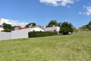 View Point Apart Pino