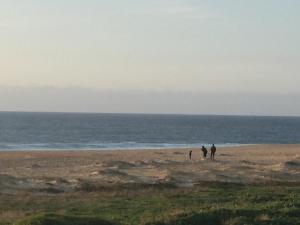 Appartement de standing