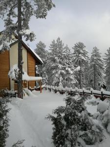 Chata Apartmani Sredojevic Kaludjerske Bare Srbsko