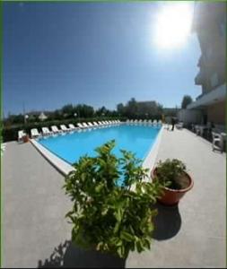 3 star hotel Hotel Nido Verde Marina di Montenero Itali&euml;