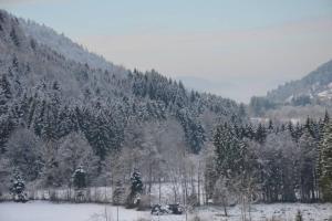 Maisons de vacances gite de la cheneau : photos des chambres