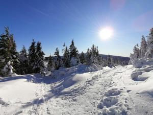 Hotell Na Potůčníku Hanušovice Tsjekkia