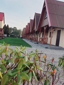 Domki letniskowe Kika