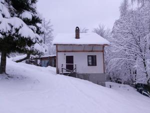 Ferienhaus House 339 Vyshka Ukraine