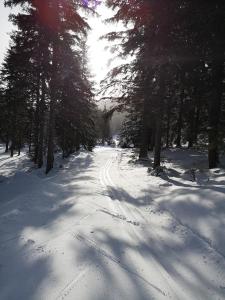 Ferienwohnung Laßhofer