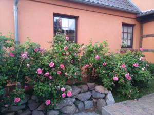 Dorfidyll Wendisch Priborn