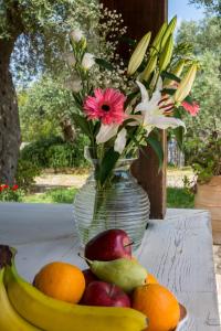 Villa Elaia Suites & Apartments No.3 Paxoi Greece