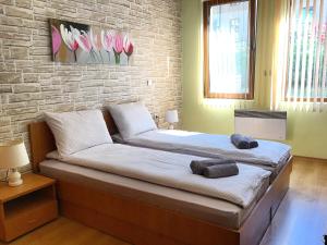 Snow Apartment - Bansko