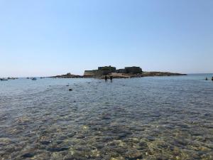 Appartements Loriot1- Appartement vue mer sur le fort bloque ploemeur : photos des chambres