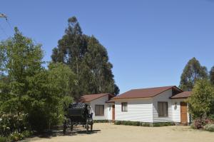 Casas y departamentos en el huerto de "LaEmboscadapuntocl"
