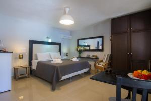 Villa Elaia Suites & Apartments No.4 Paxoi Greece