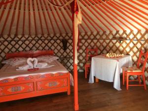 Maisons d'hotes Les insolites de Taracopala : photos des chambres
