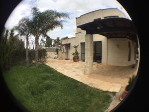 OLYMPUS PARK amnesia