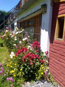 Don Alfonso Departamento