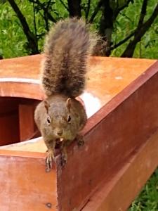 Chale Aroma da Serra