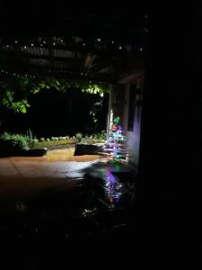 Country Lane Guesthouse