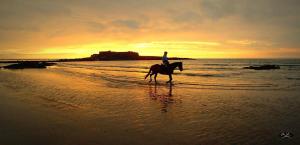 Loriot1- Appartement vue mer sur le fort bloqué ploemeur