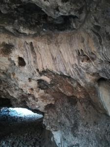 Munsterland Guest Farm