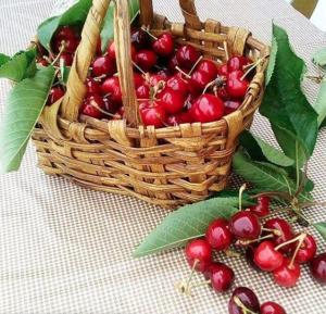 Kings House Douro Valley