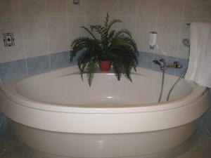 Hotels Hotel Riquet : photos des chambres