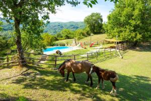 Villa Bellavista Large Private Pool WiFi