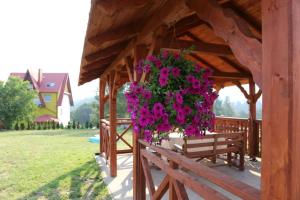 U Asi w Kotlinie Kłodzkiej - Widoki, Bania i Wiejskie Smaki