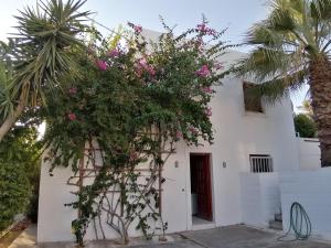 Yvis Greek House Aegina Greece