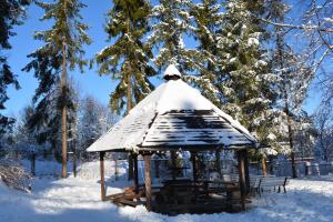 Dom Wczasowy Graniczny