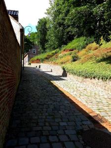 Maisons de vacances Gite Au Coeur de Cassel : photos des chambres