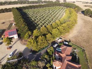 OMARU FARM STAY