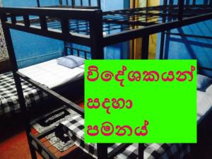 Nature Lovers Hostel