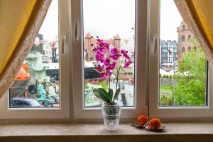 Apartament Ołowianka Danzig