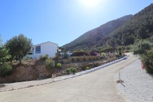 Casa Arts guest rooms