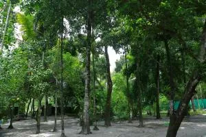 Marari azhiyakathu homestay - Alappuzha