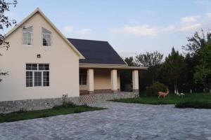 Mansion on the river