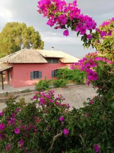 Efcaliptos cottage Messinia Greece