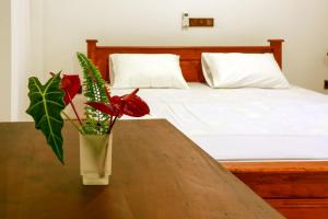 Dearly Holiday Home And Safari