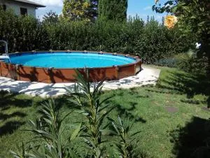 La Casetta Gialla - Strada