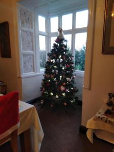 Llanwrtyd Hall B&B Angelis Holistic Retreat