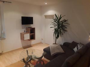 Апартамент Ferienwohnung Döhlerwald Клингенталь Германия