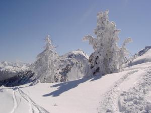 Gästehaus Pürstl-Kocher