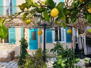 B&B / Chambres d'hotes Villa Mia : photos des chambres