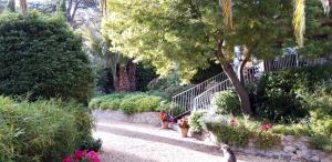 Maisons d'hotes La Grenotte au Castellet : Suite Lit Queen-Size - Vue sur Piscine