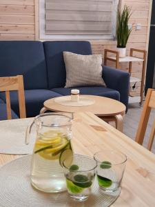 Ekosfera Piława Apartamenty z podgrzewanym basenem