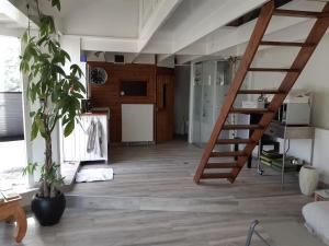 Hakuna Matata Peddelenzo