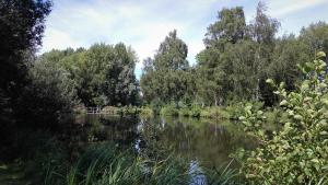 Campings Camping les Charmilles : photos des chambres