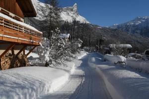 Appartements Face Mont-Blanc : photos des chambres