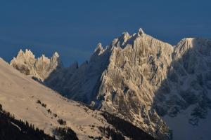 Appartements Face Mont-Blanc : photos des chambres