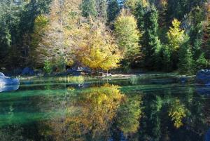 Appartements Face Mont-Blanc : photos des chambres